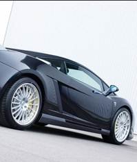 pic for Gallardo hamann